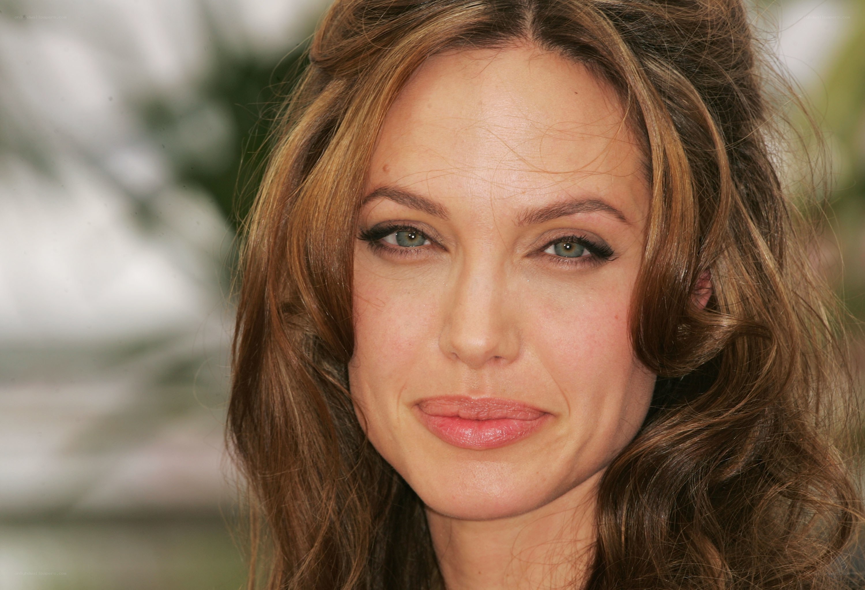 Angelina Jolie portrait
