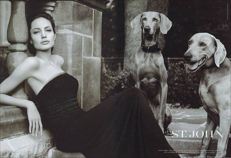 Angelina Jolie with dogs