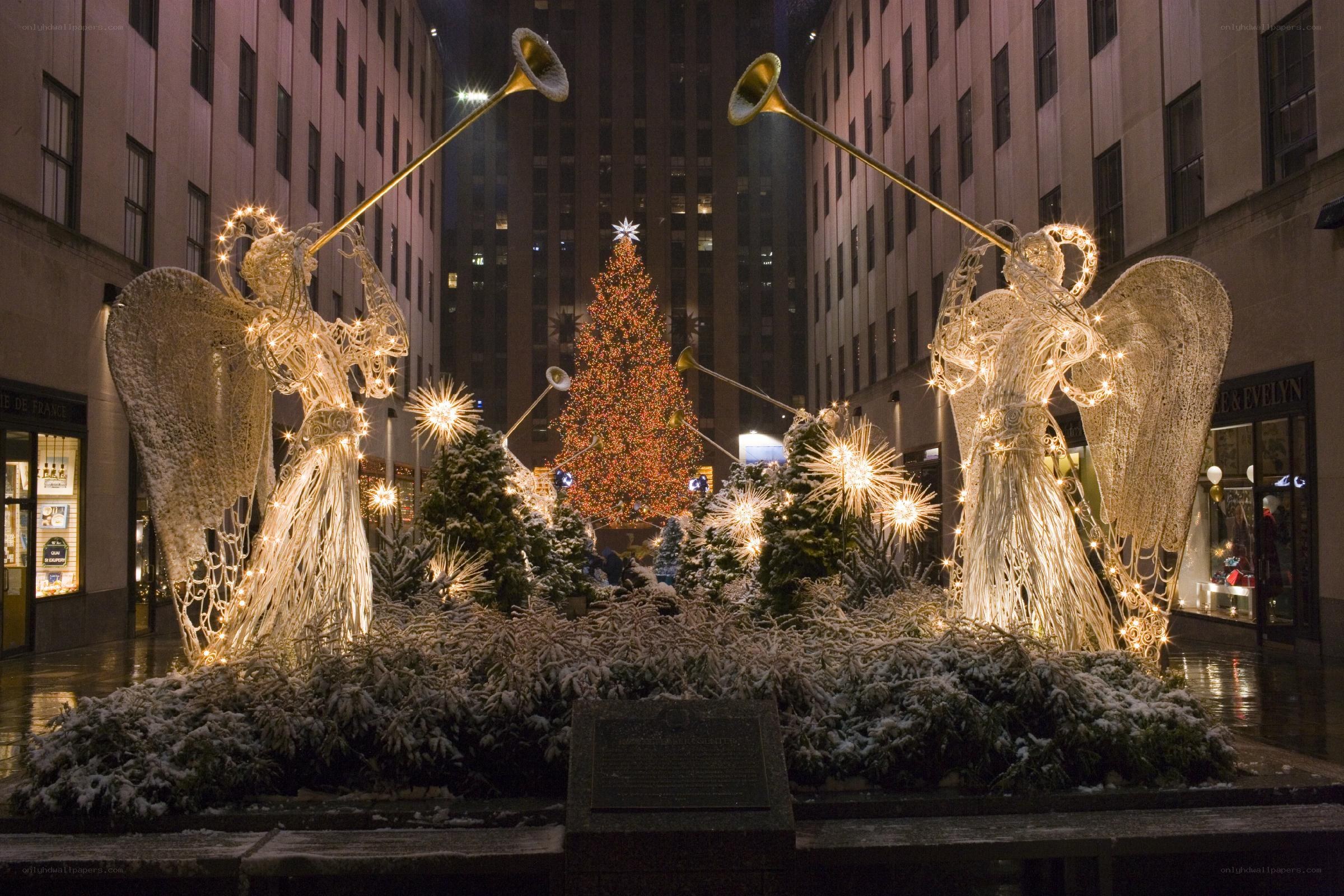Angels and Christmas tree display