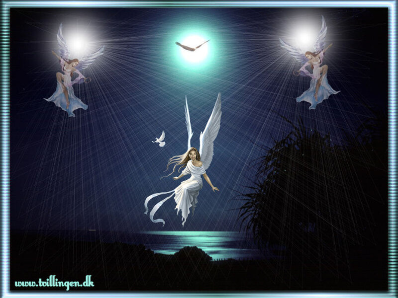 Angels Flying at Night