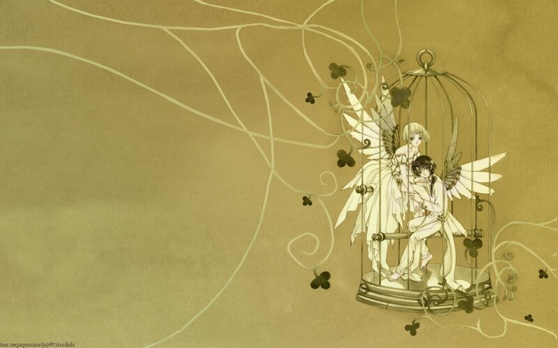 angels in a birdcage