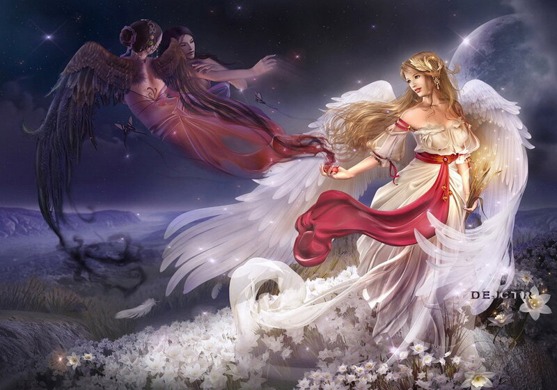 Angels in a Flower Field