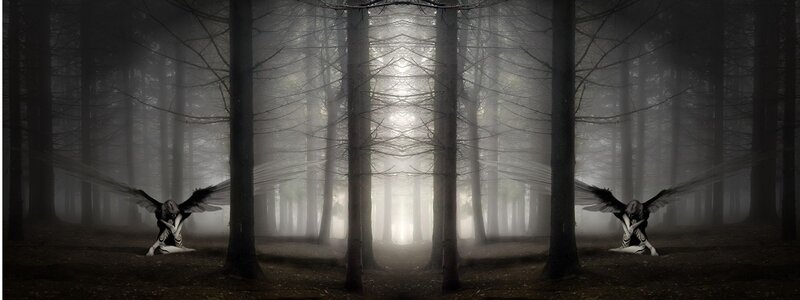 Angels in a misty forest