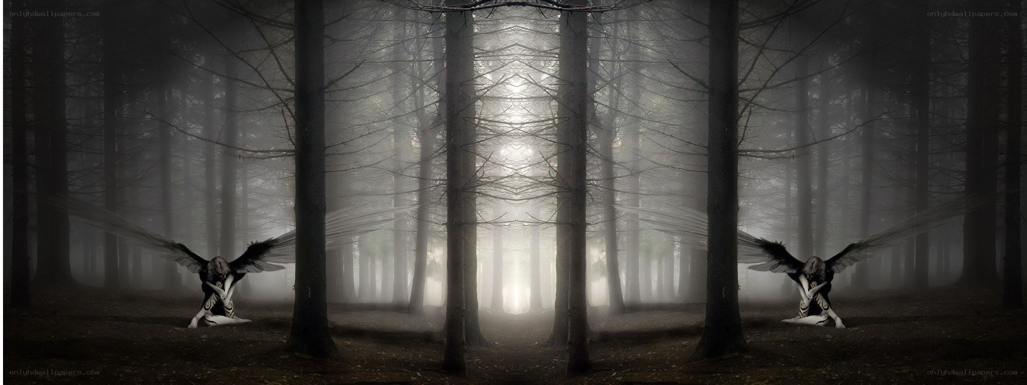 Angels in a misty forest