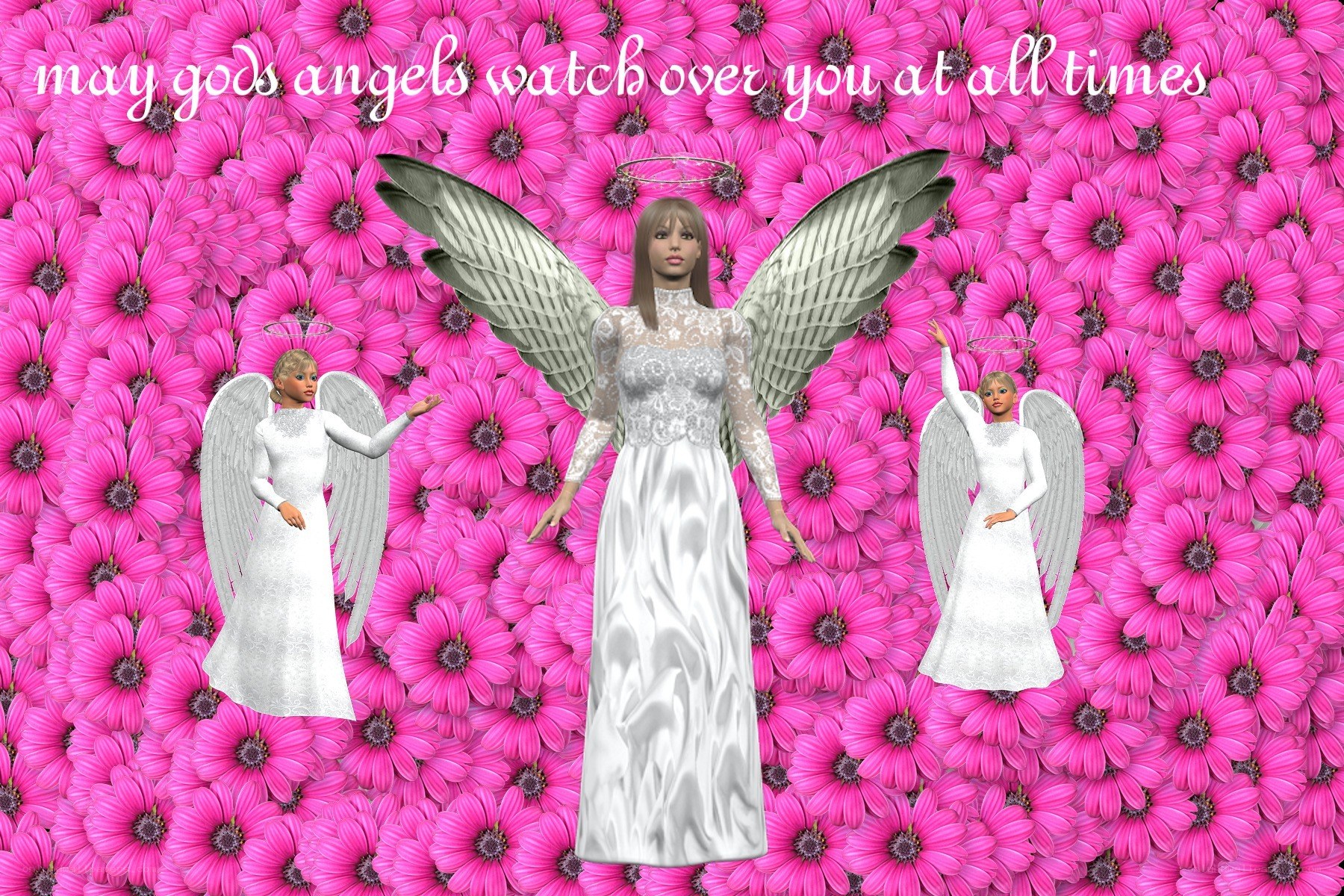 angels in pink flowers