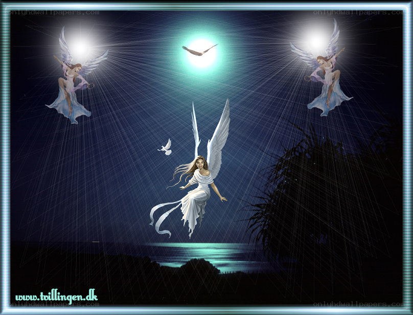 Angels in the night sky