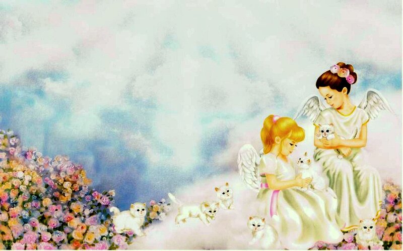 Angels with Kittens