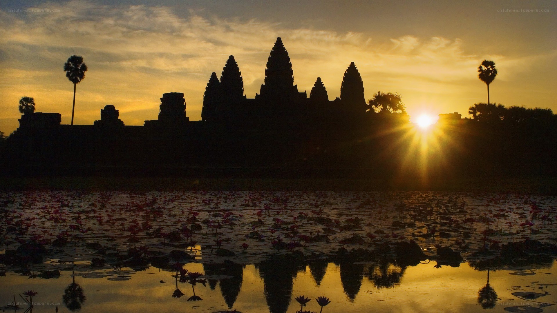 Angkor Wat at sunrise