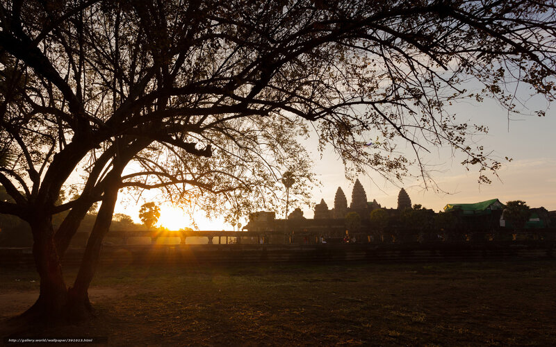 Angkor Wat Temple — Brown, Serene