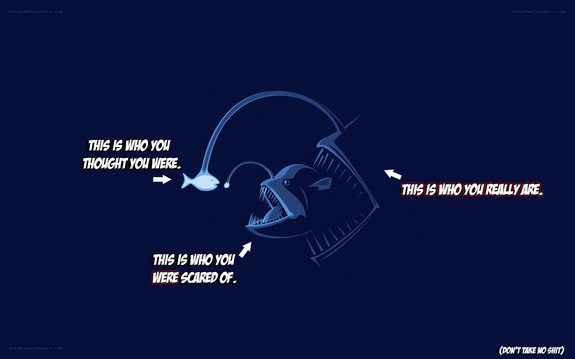 anglerfish metaphor