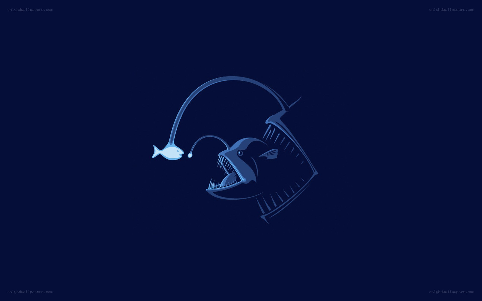anglerfish with bioluminescent lure