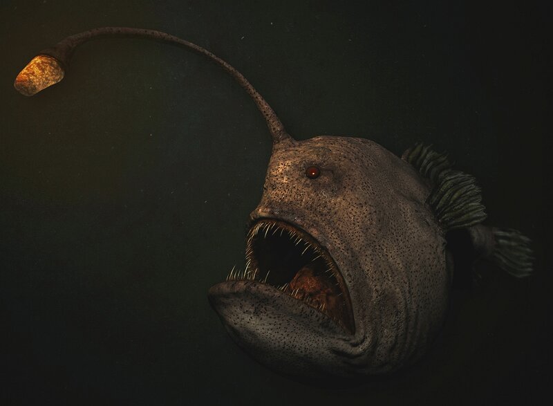 Anglerfish with Bioluminescent Lure — Black