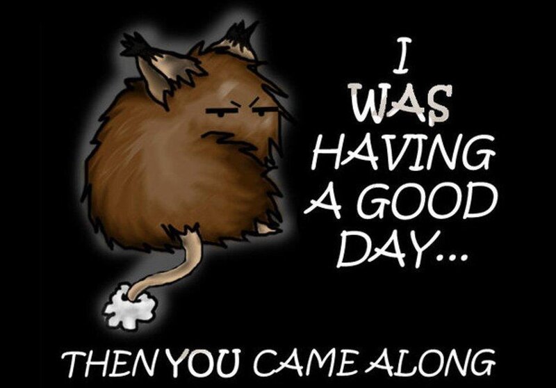 angry animal meme