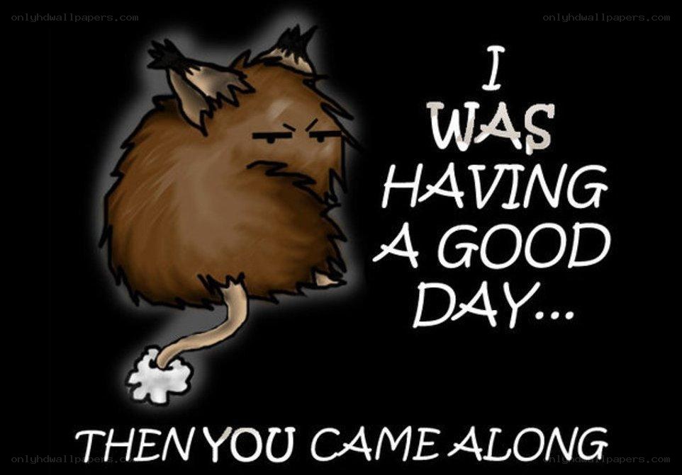 angry animal meme