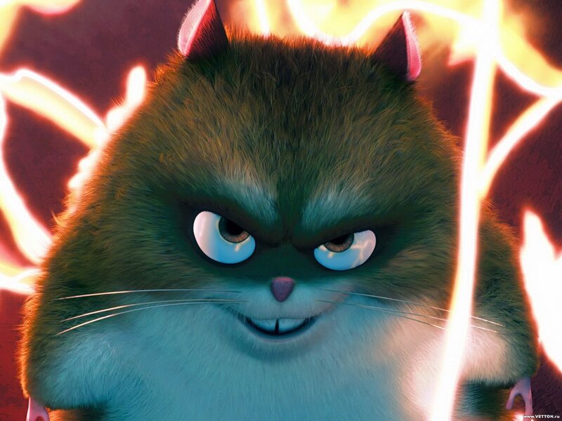 angry animated cat character