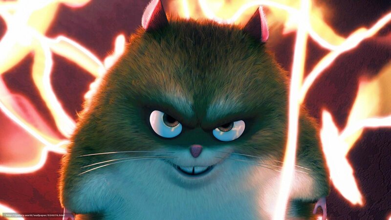 angry animated cat character