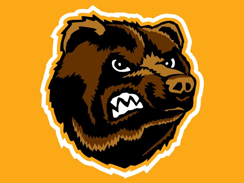 Angry Bear Head