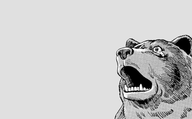 angry bear illustration