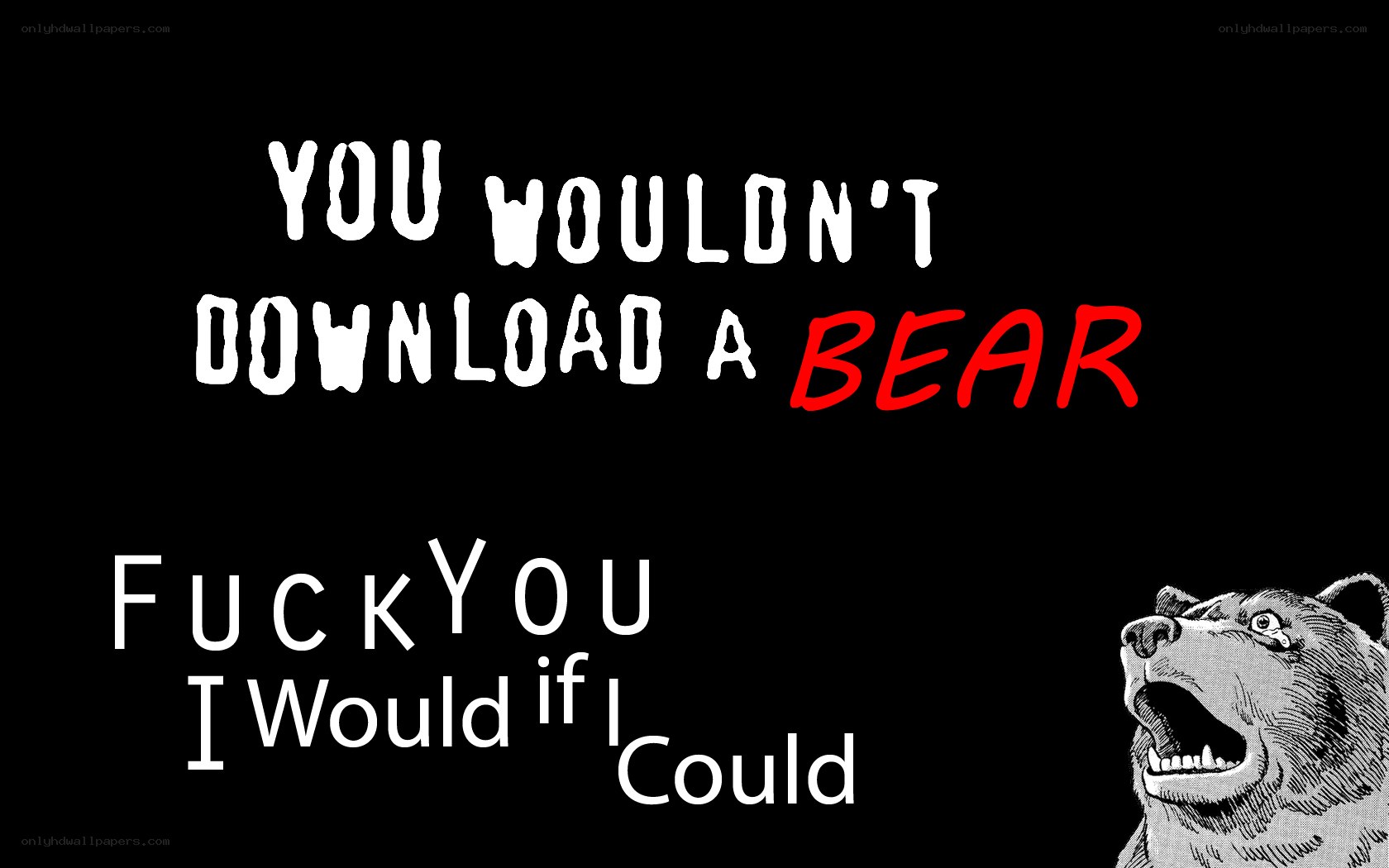 angry bear meme