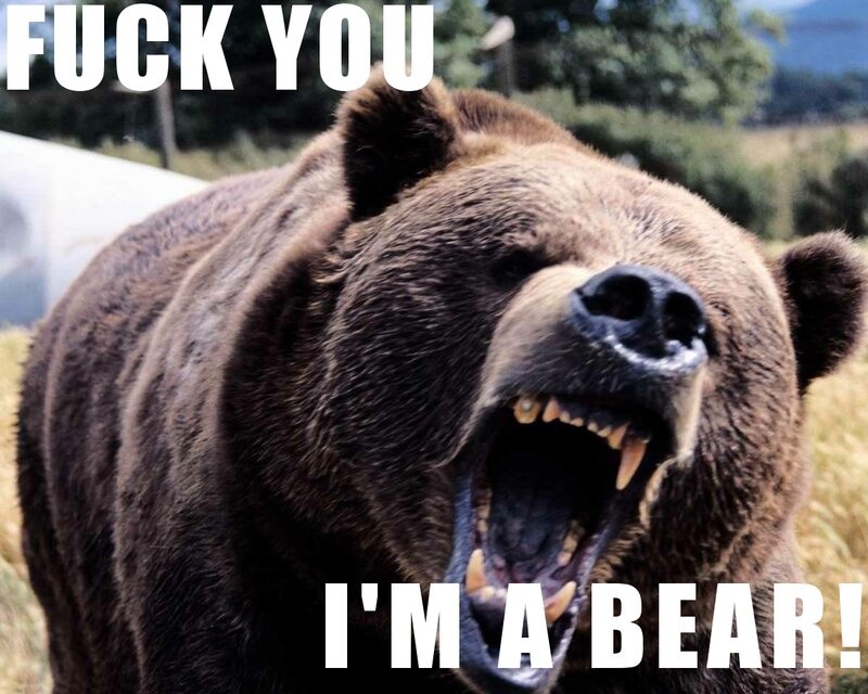 angry bear meme