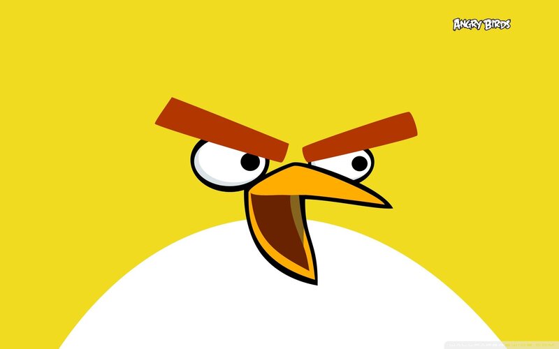 angry bird character