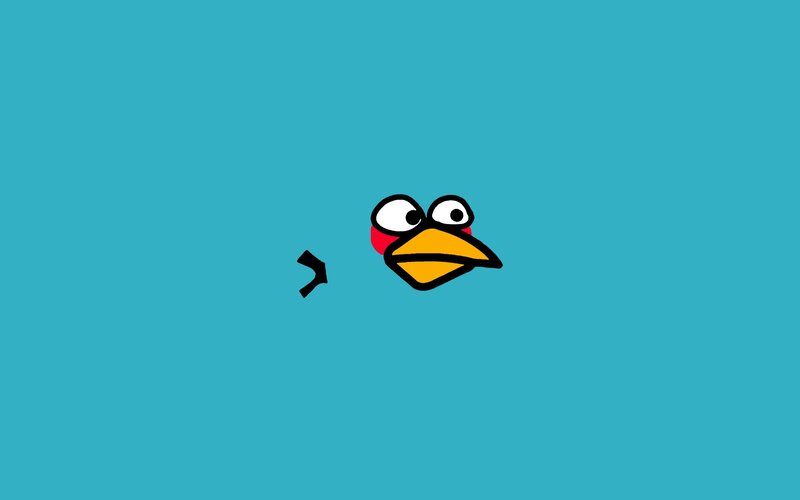 angry bird character