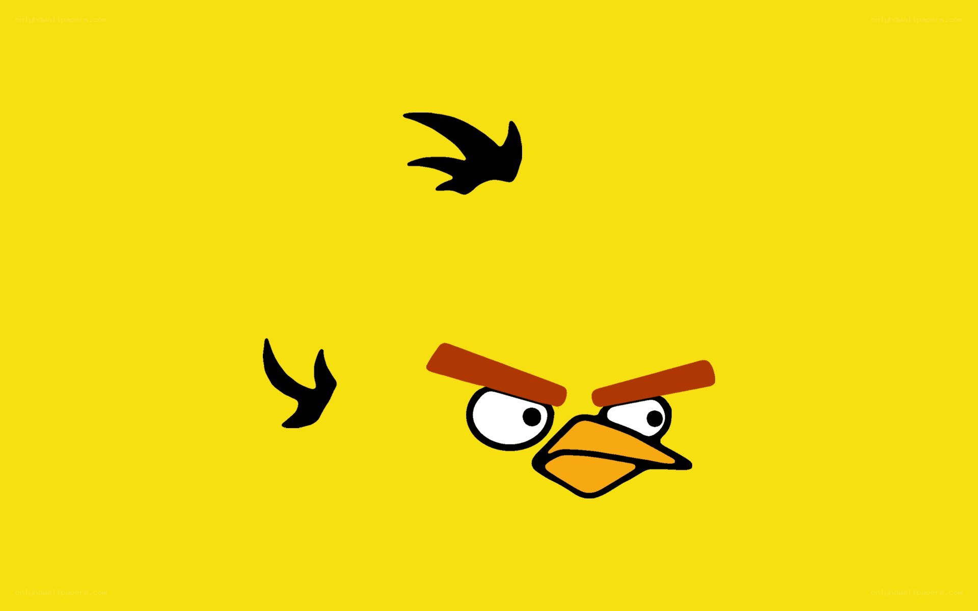 angry bird character