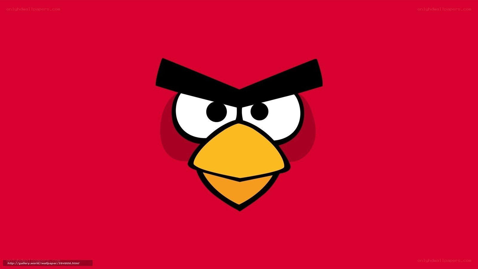 angry bird character