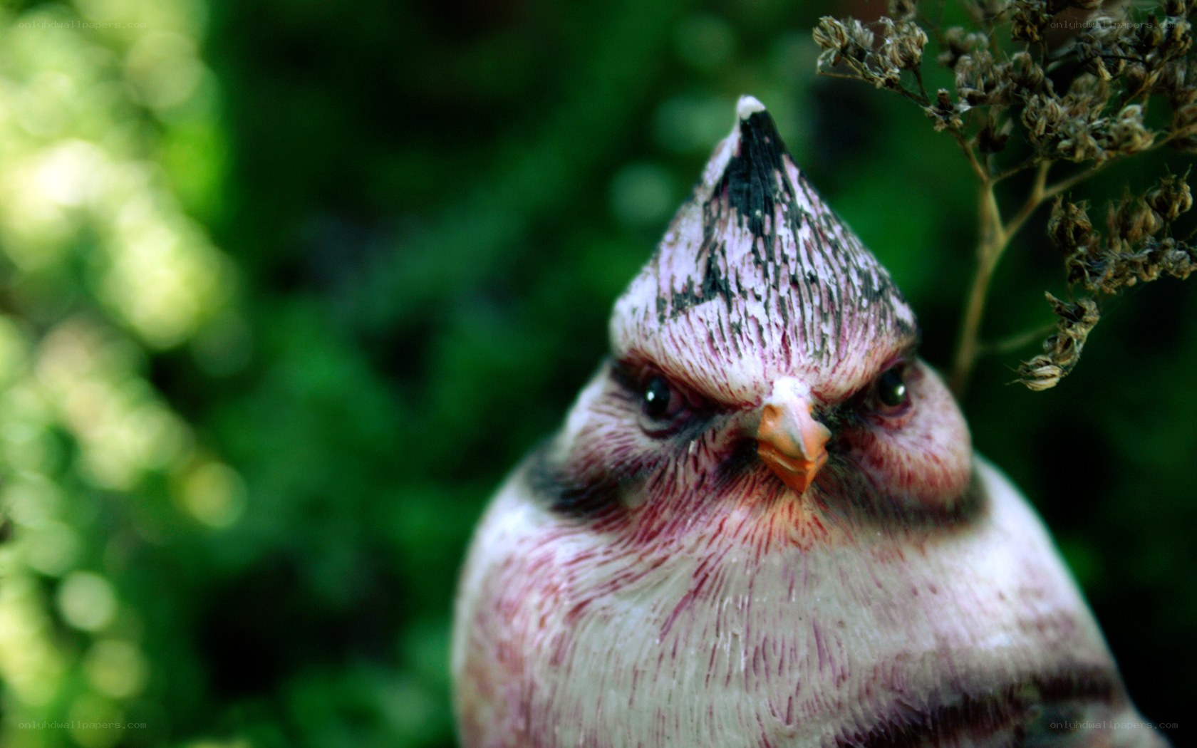 angry bird sculpture