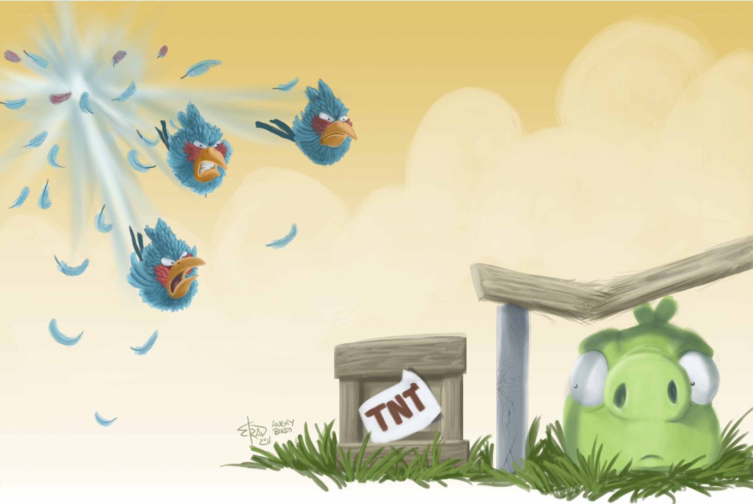 Angry Birds attack