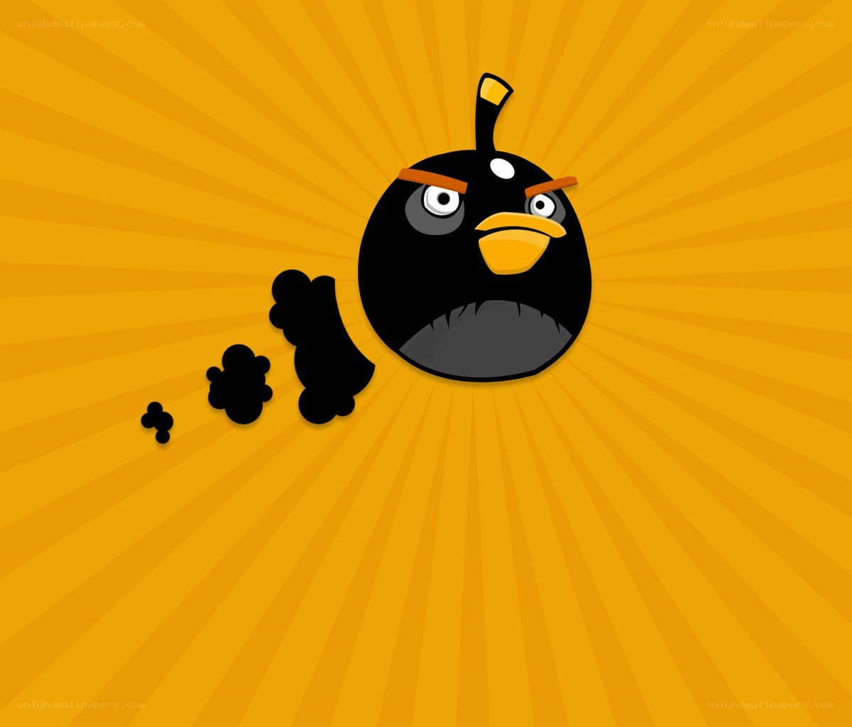Angry Birds Bomb Bird
