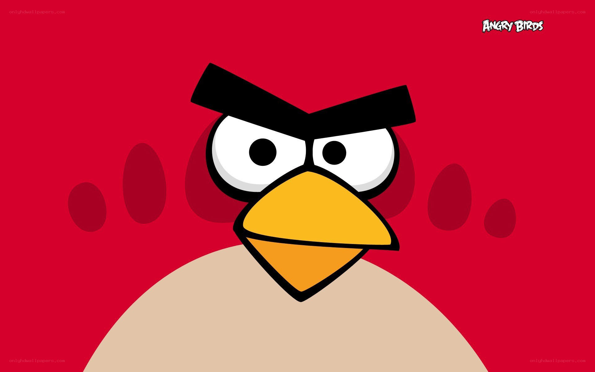 Angry Birds character close-up