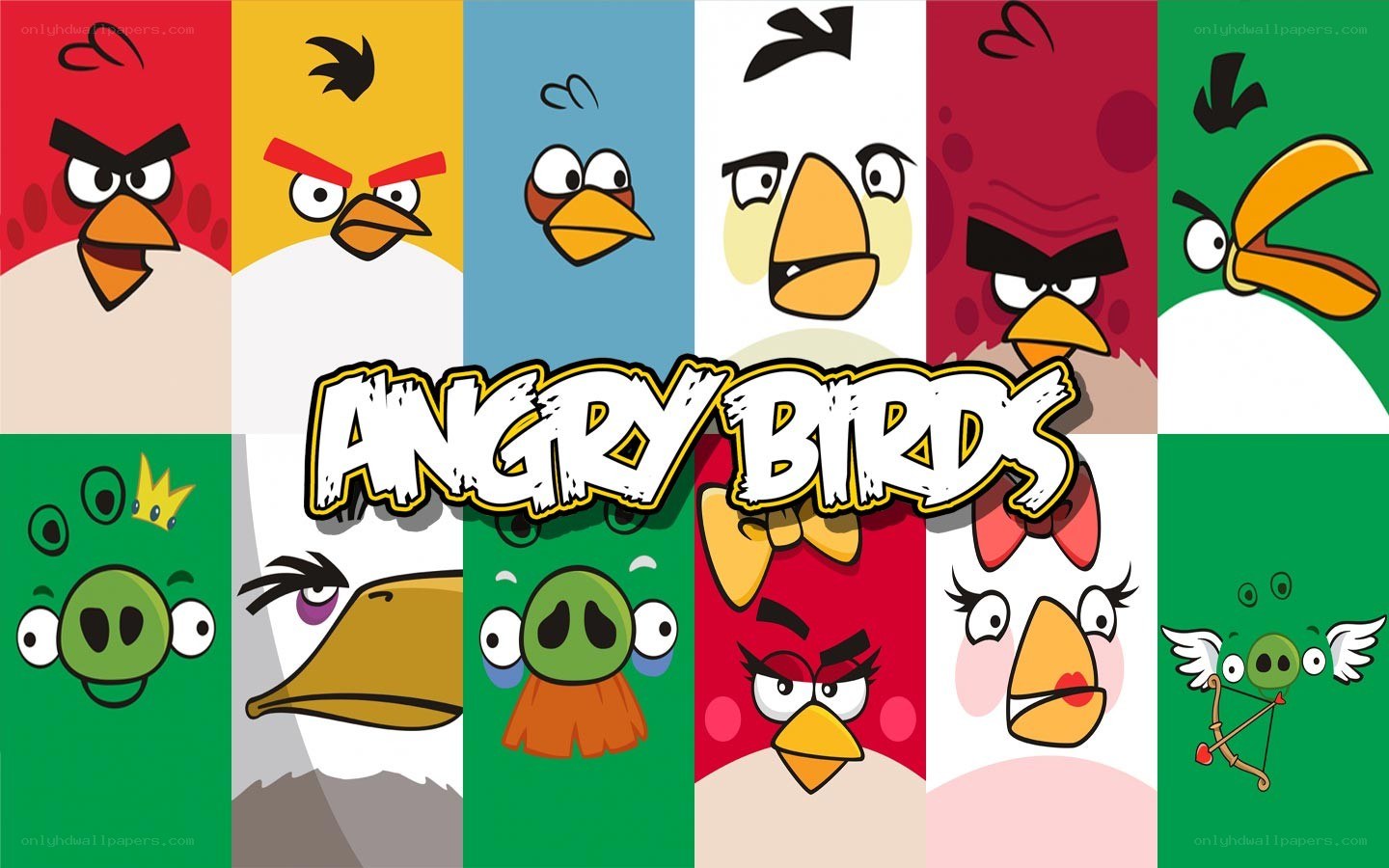Angry Birds character collage
