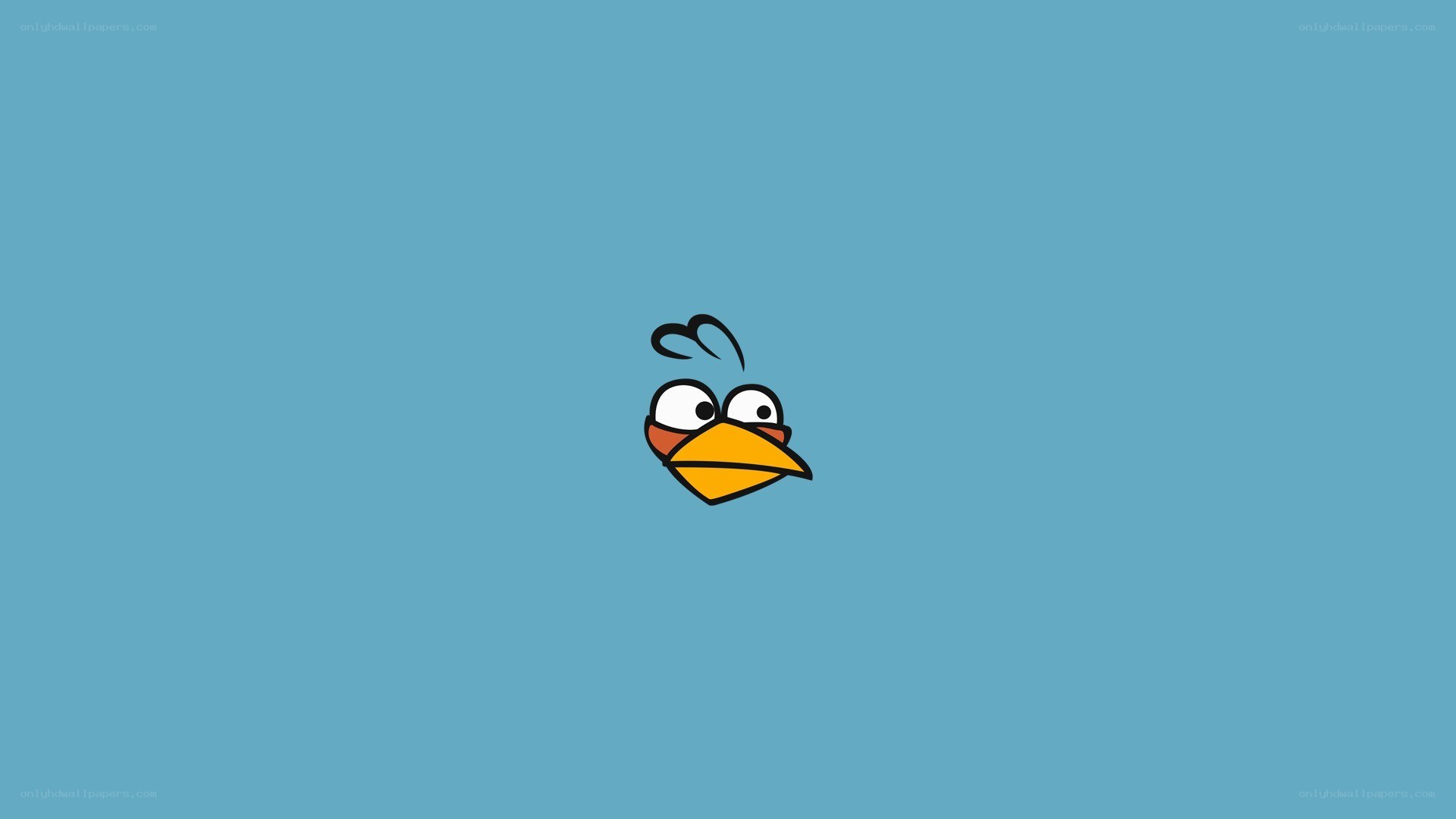 Angry Birds character face