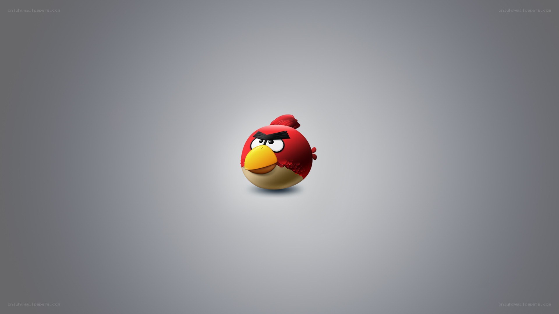 Angry Birds character on gray