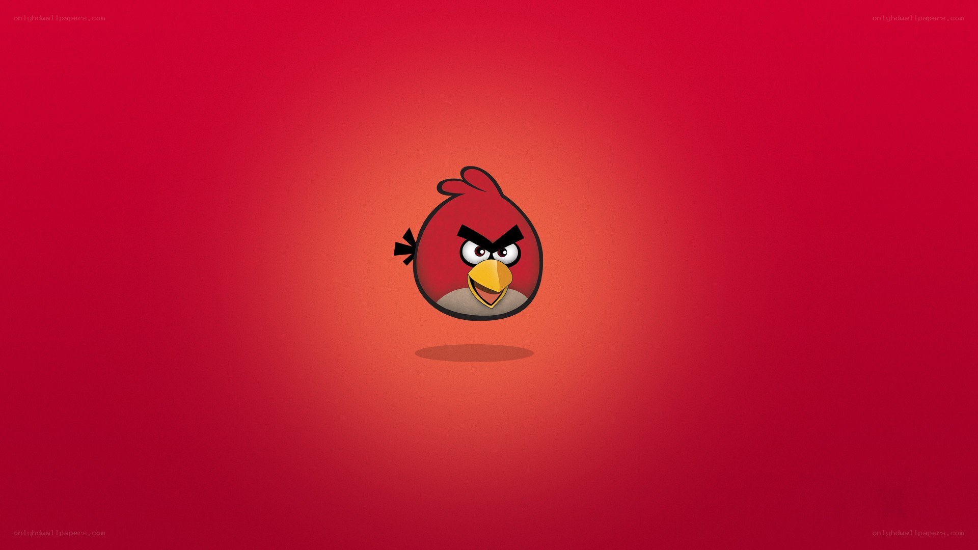Angry Birds character on red background