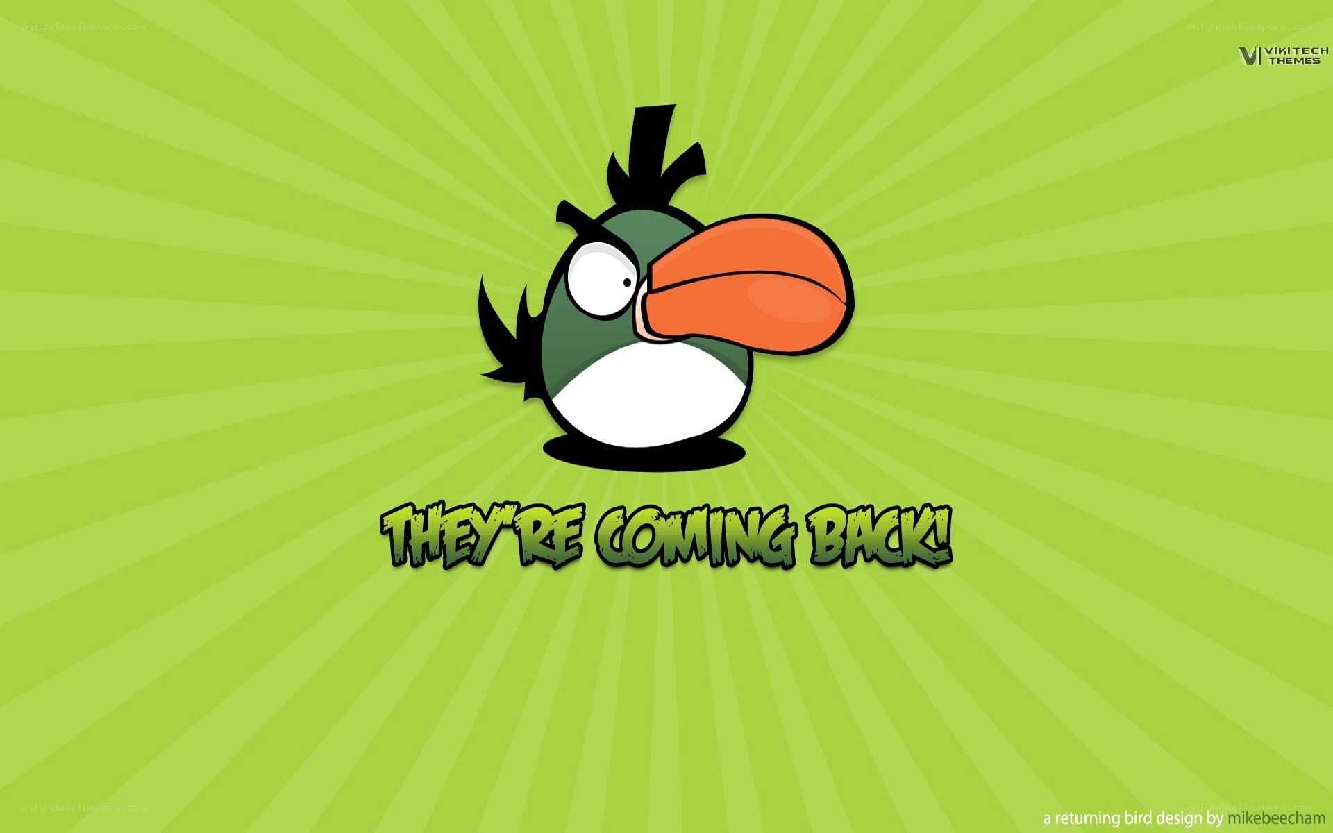 angry birds character wallpaper