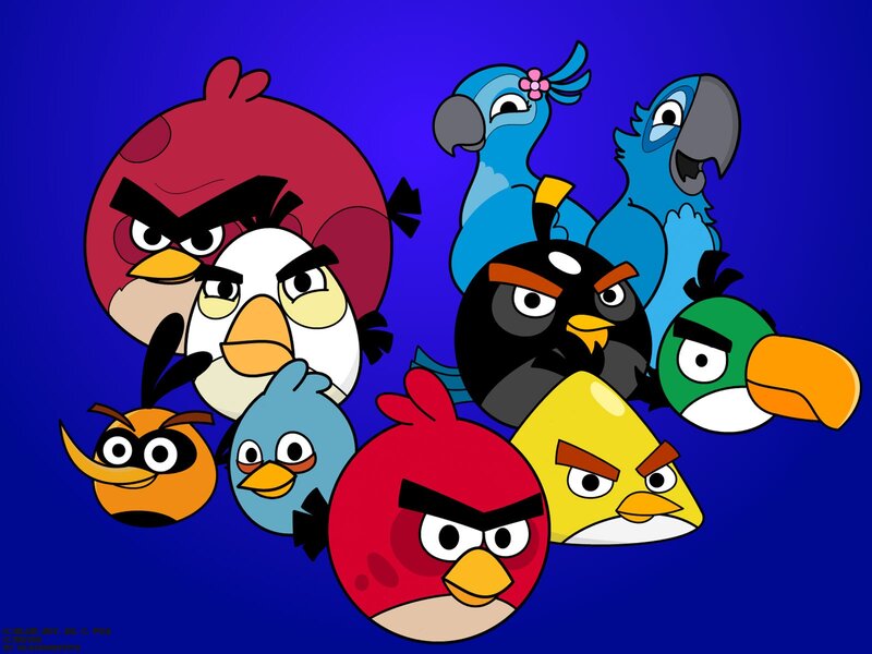 Angry Birds characters group