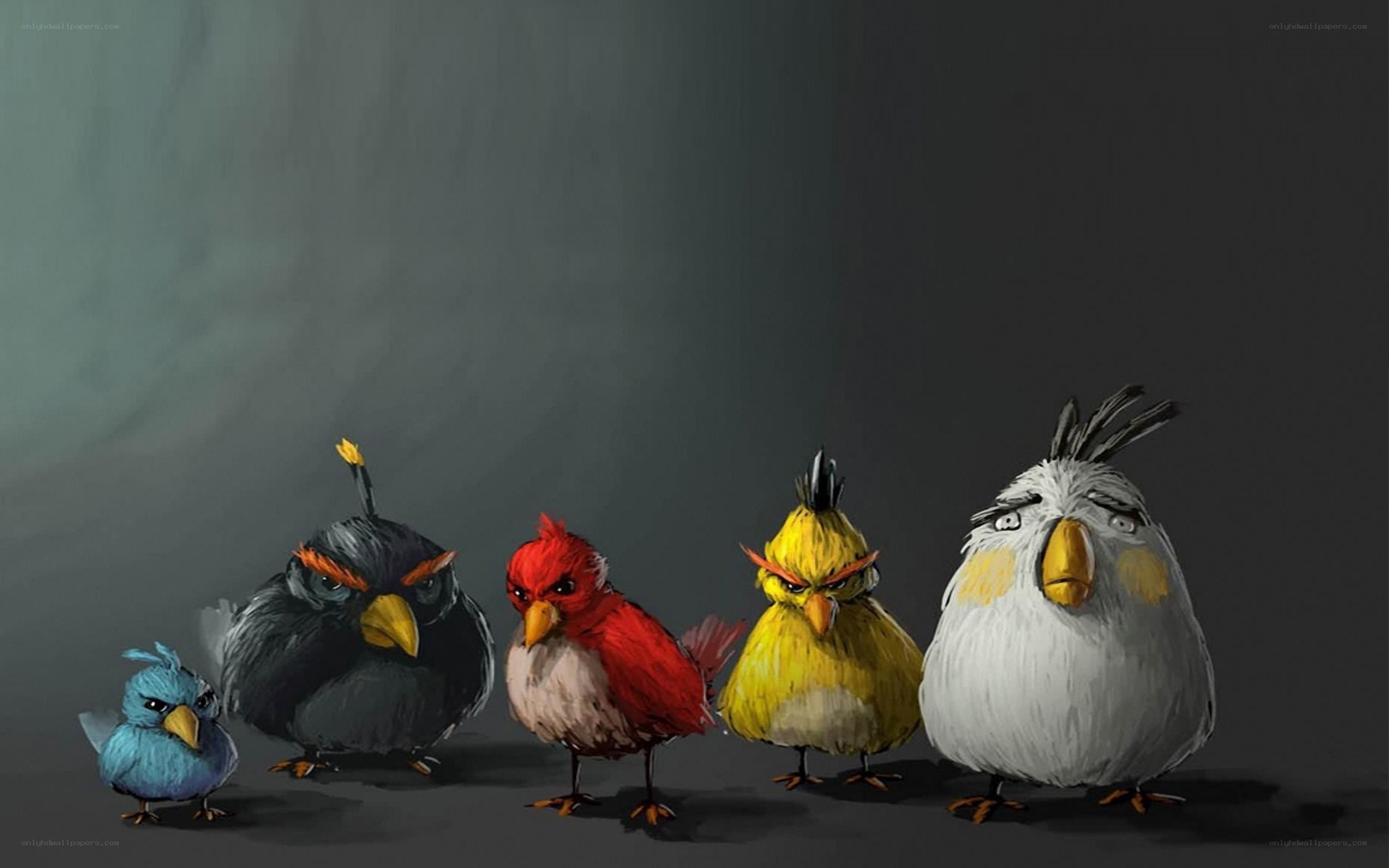 Angry Birds characters lineup