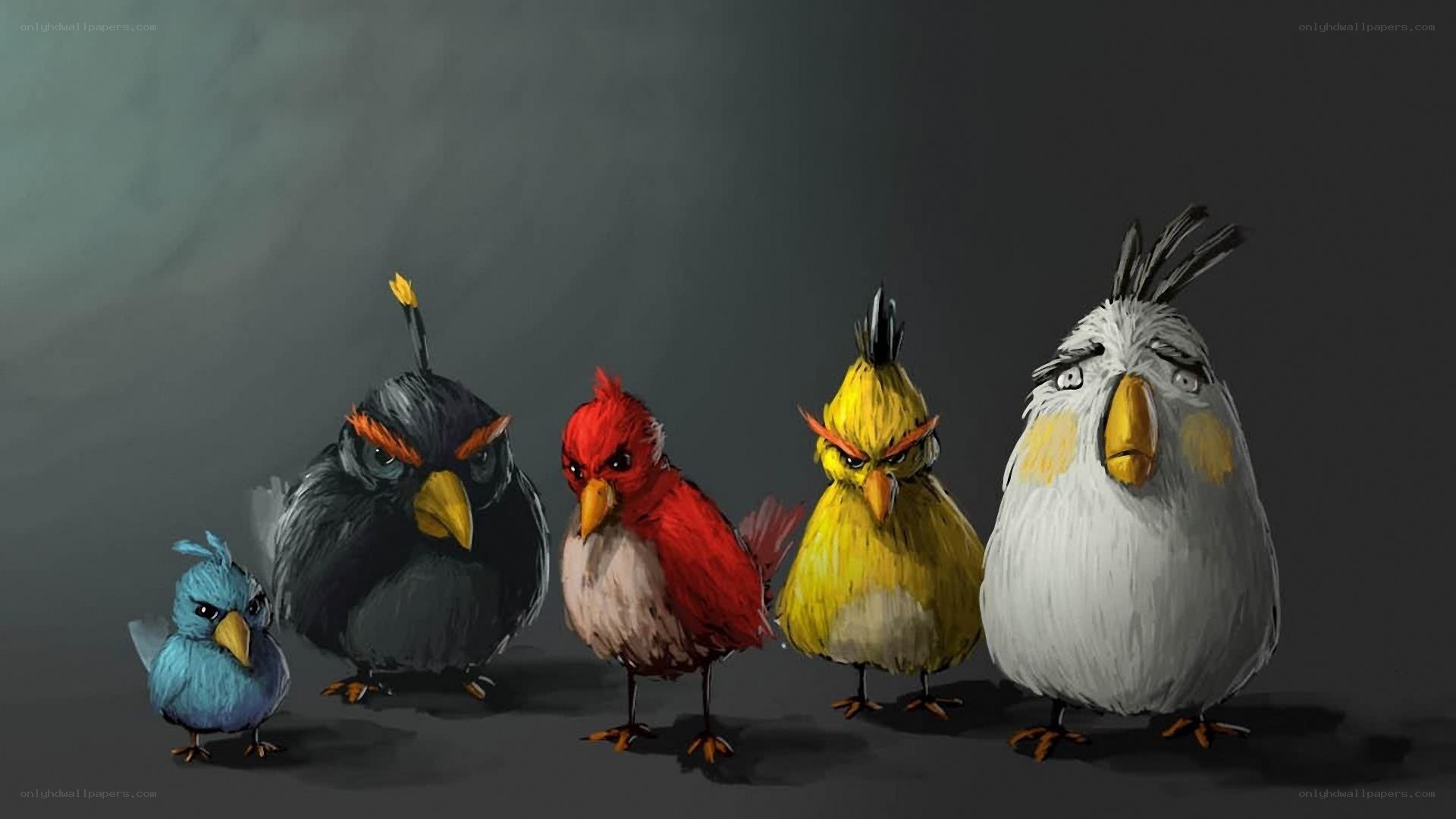 Angry Birds characters lineup