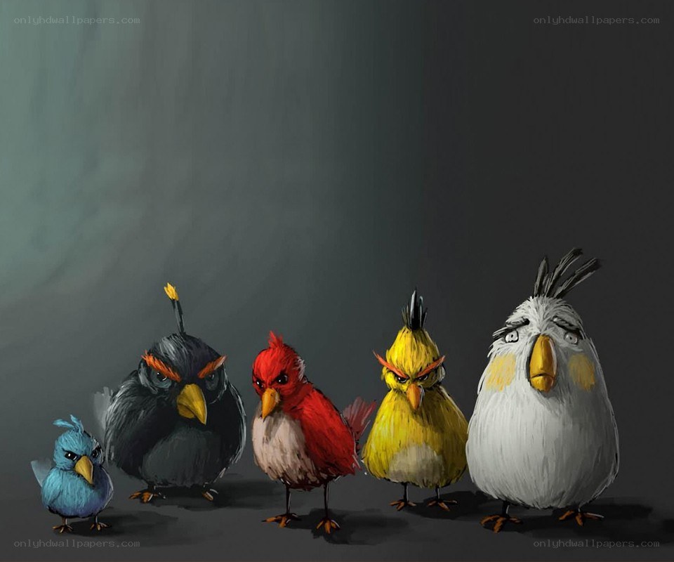 Angry Birds characters lineup