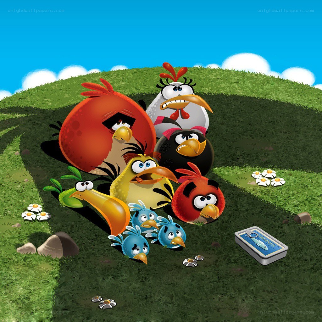 Angry Birds characters on a hill