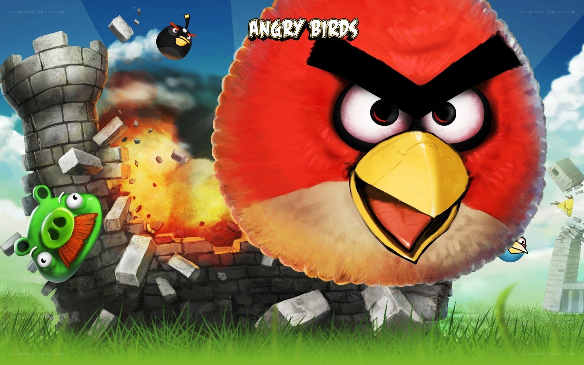 Angry Birds game scene