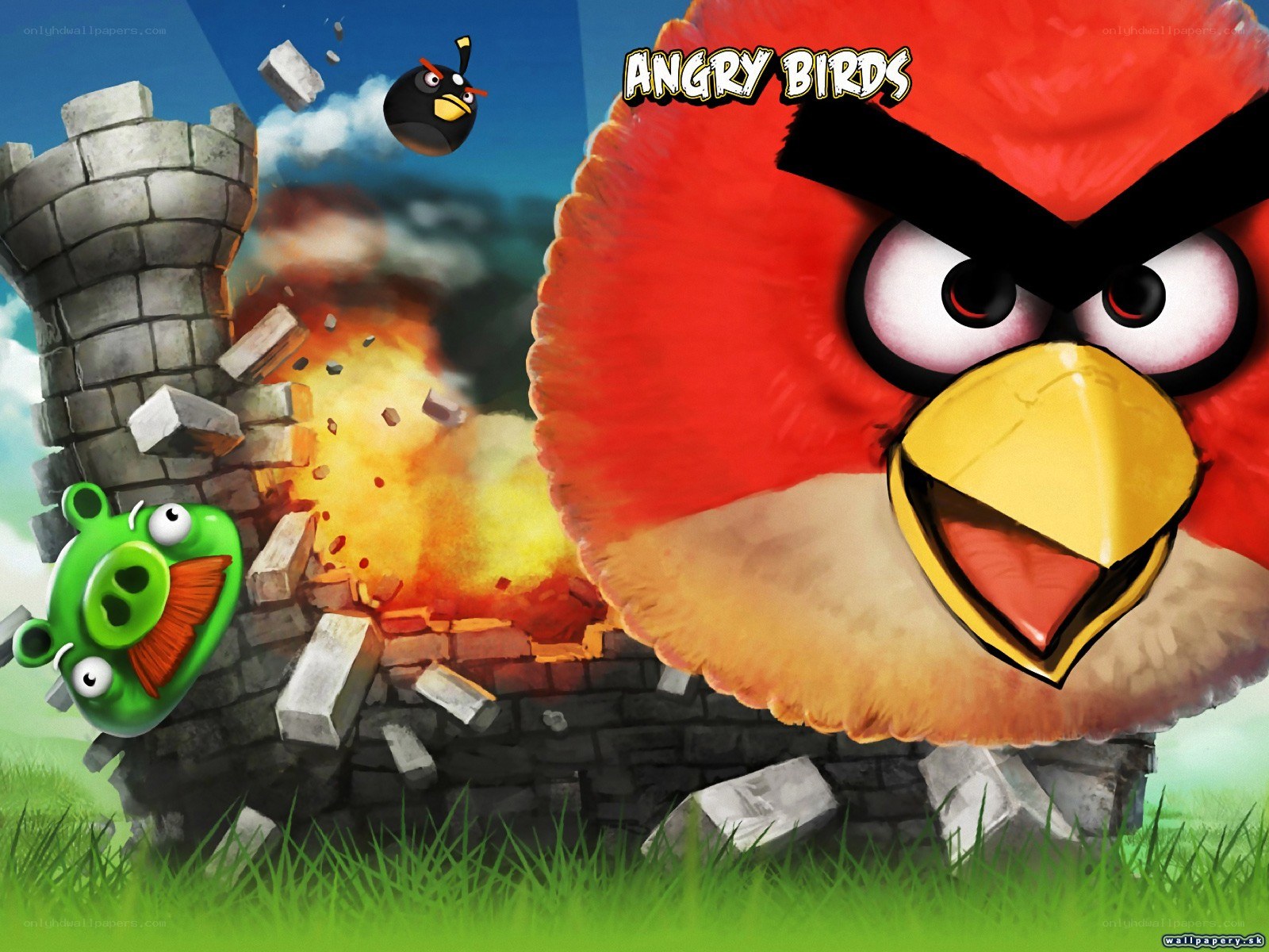Angry Birds game scene