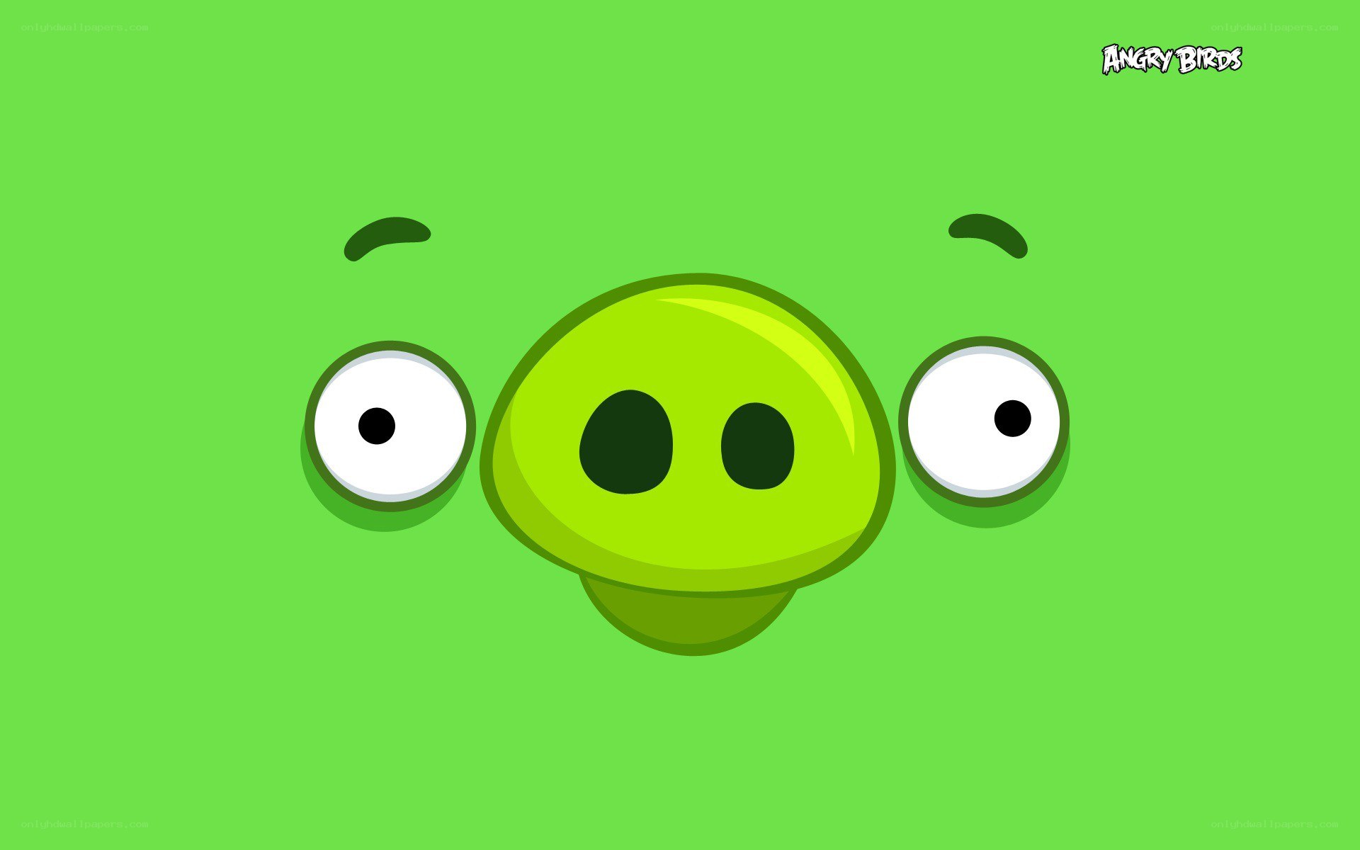 Angry Birds green pig