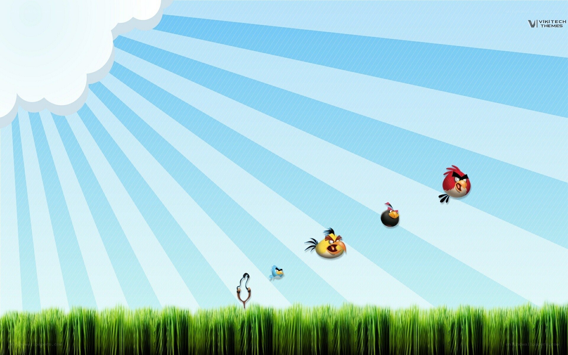 Angry Birds in the sky