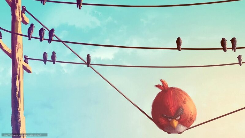 angry birds on power lines