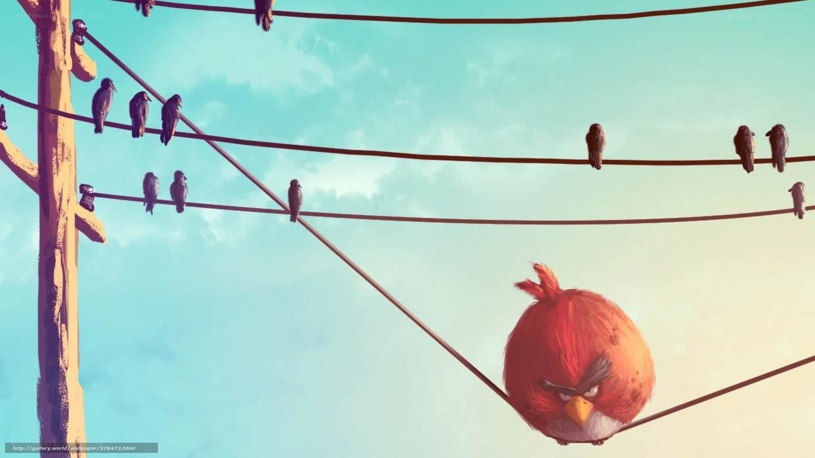 angry birds on power lines