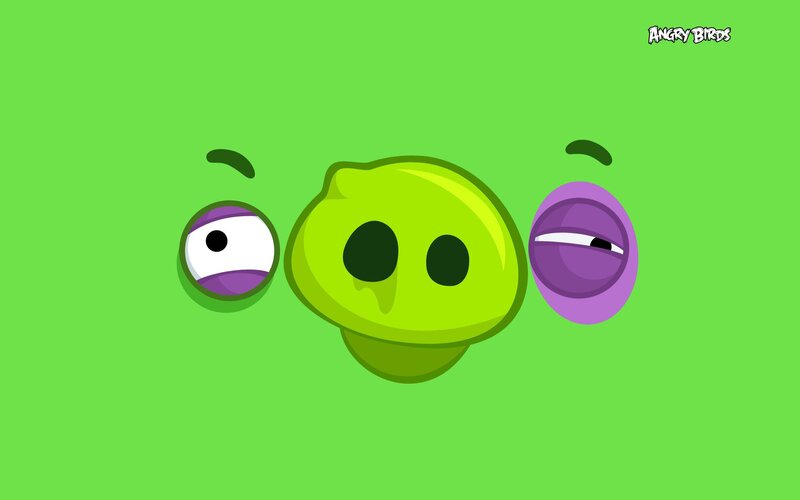 angry birds pig faces