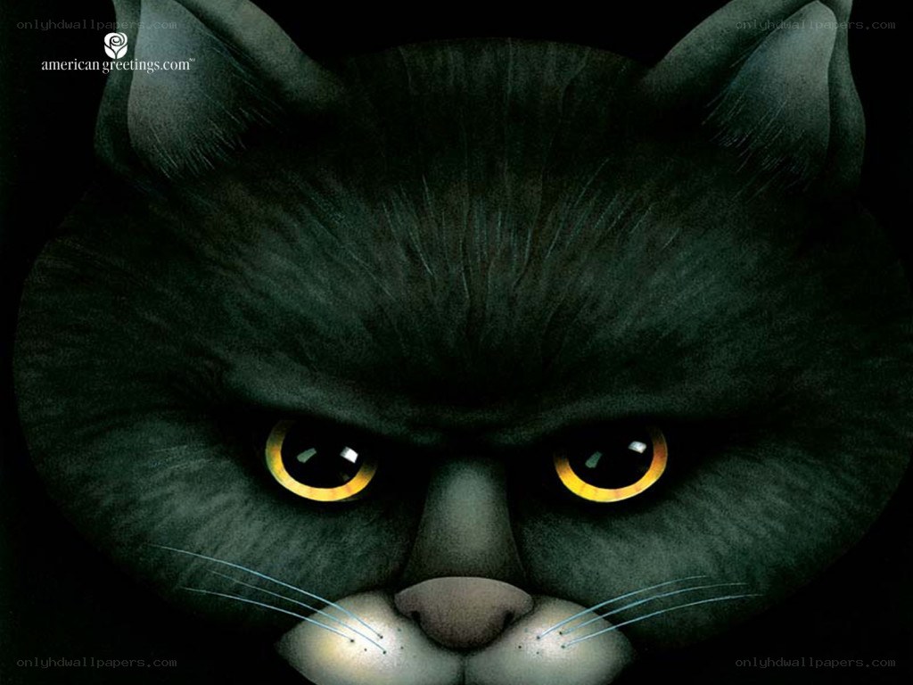 angry black cat close-up